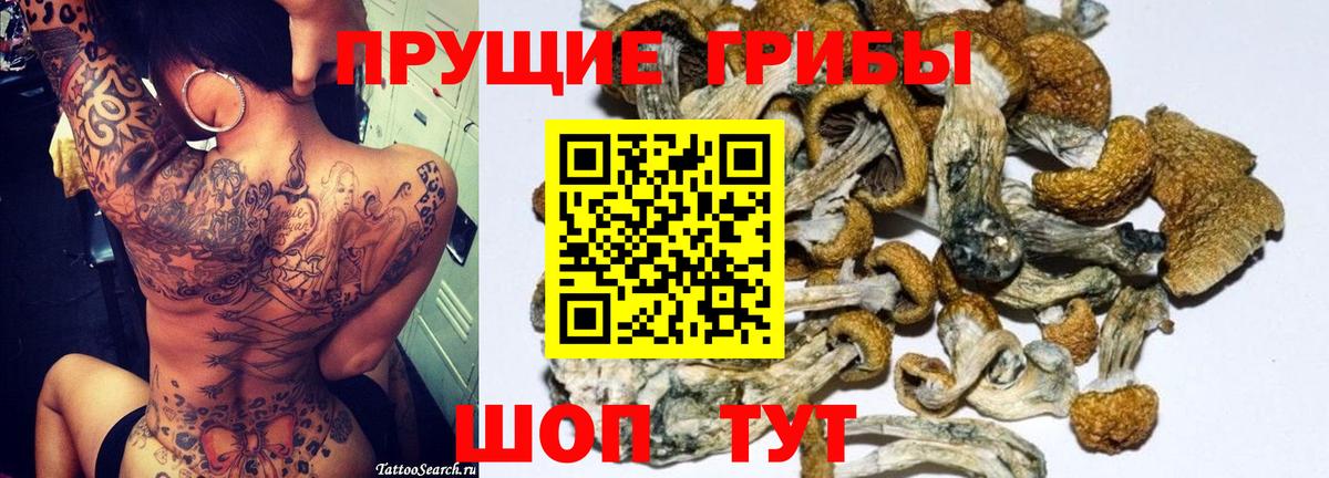 Галлюциногенные грибы мухоморы Тверь