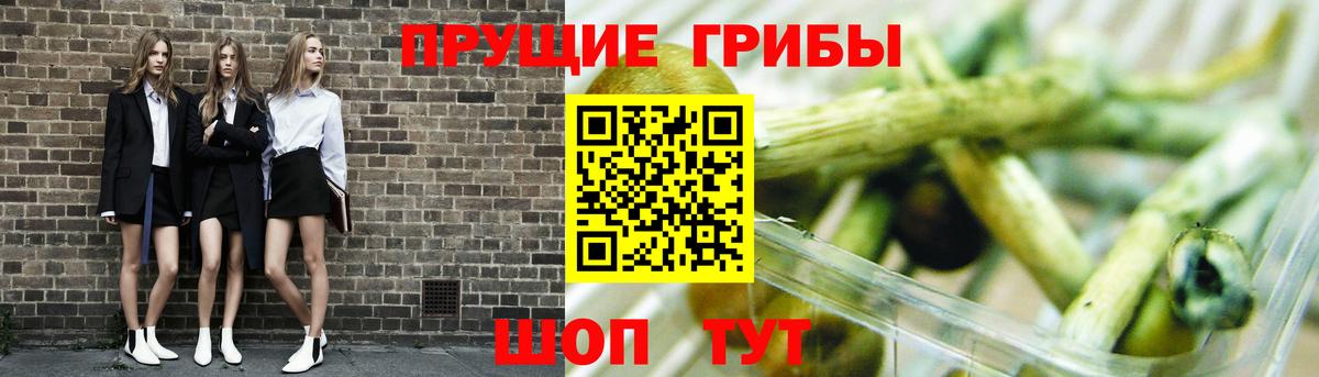 Тверь  Галлюциногенные грибы Magic Shrooms  Галлюциногенные грибы прущие грибы  Вход с VPN 